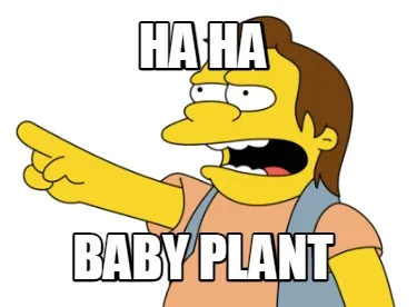Ha Ha baby plant