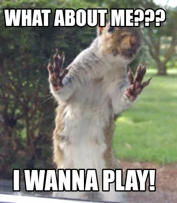 Funny What about me??? I wanna play!