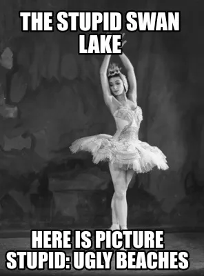 Funny The Stupid Swan Lake Here Is Picture Stupid: Ugly Beaches