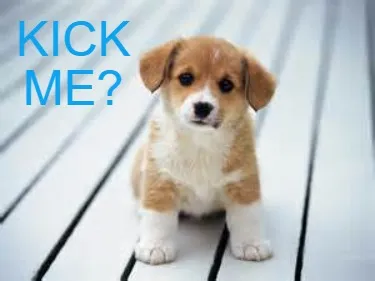 Funny KICK ME?