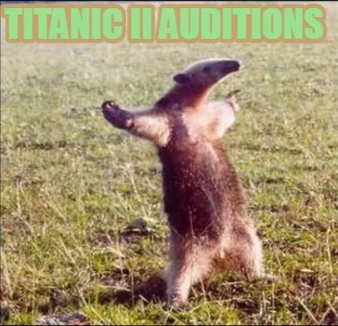Titanic II auditions