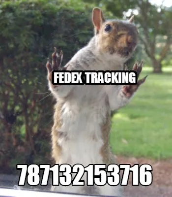 FedEX Tracking 787132153716