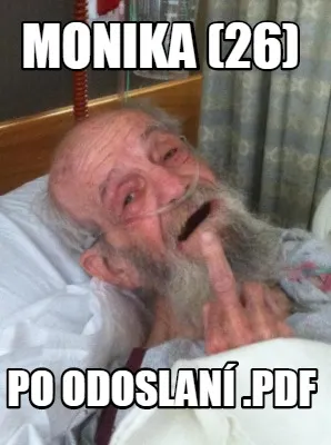 Monika (26) po odoslaní .pdf