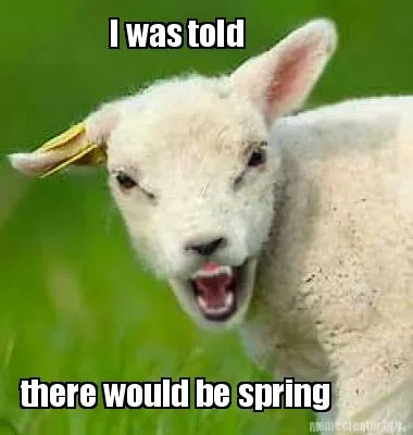 Funny I was told there would be spring