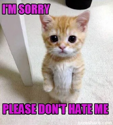 Funny I'm Sorry Please Don't Hate Me