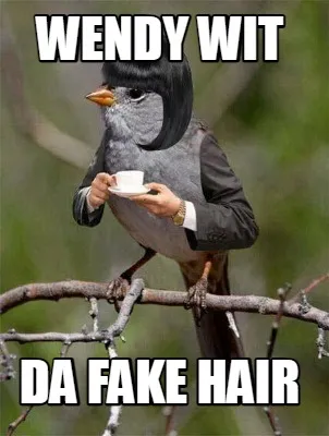 WENDY WIT DA FAKE HAIR