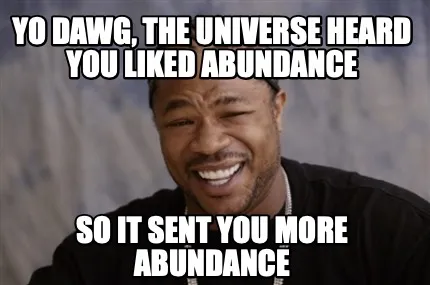 Funny yo dawg, the universe heard you liked abundance so it sent you more abundance