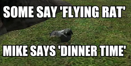 Funny Some say 'flying rat' MIKE SAYS 'DINNER TIME'