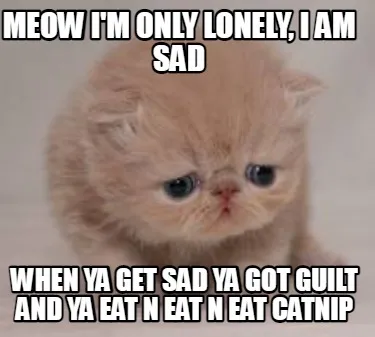 Funny MEOW I'M ONLY LONELY, I am sad When ya get sad ya got guilt and ya eat n eat n e
