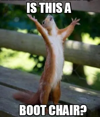 Is this a boot chair?