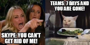 Skype: you can't get rid of me! Teams: 7 days and you are gone!