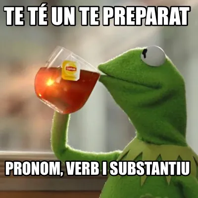 Te té un te preparat Pronom, verb i substantiu