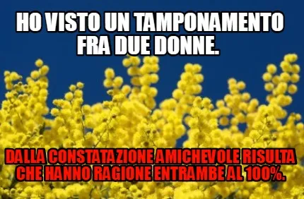 Ho visto un tamponamento fra due donne. Dalla constatazione amichevole risulta