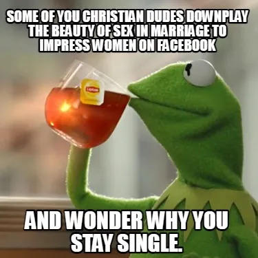 Funny some of you christian dudes downplay the beauty of sex in marriage to impress wo