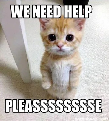 We need help PLEASSSSSSSSE