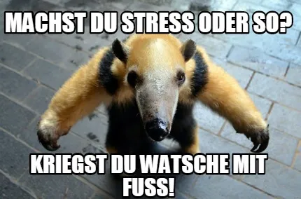 Machst Du Stress oder so? Kriegst Du Watsche mit Fuss!