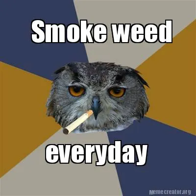 Funny Smoke weed everyday