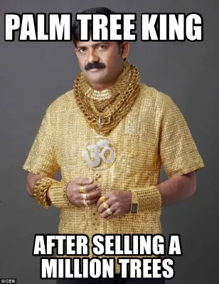 Palm Tree King After Selling a million trees