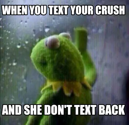 When you text your crush And she don't text back