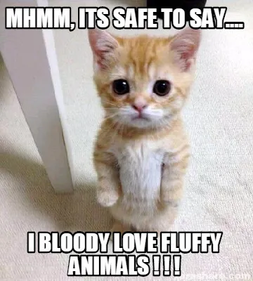 Funny Mhmm, its safe to say.... I BLOODY LOVE FLUFFY ANIMALS ! ! !