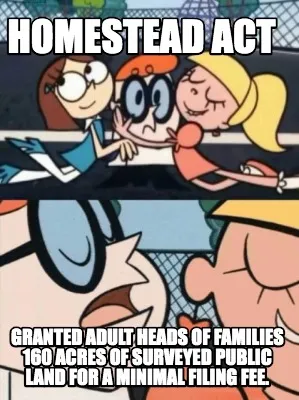Homestead act granted adult heads of families 160 acres of surveyed public land