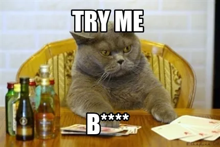 Funny Try me B****