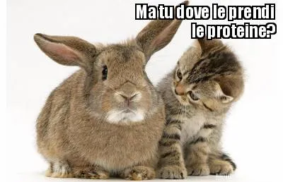 Ma tu dove le prendi le proteine?
