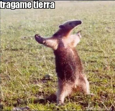 Funny tragame tierra