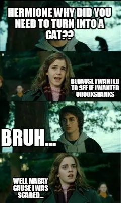 Hermione why did you need to turn into a cat?? because i wanted to see if i want