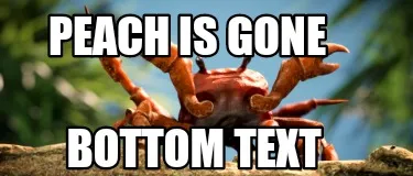Peach is gone Bottom text