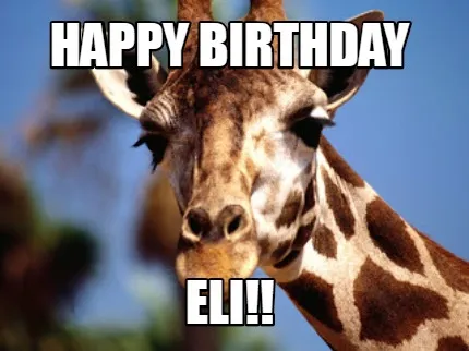 Happy Birthday Eli!!