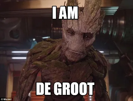 Funny I AM DE GROOT