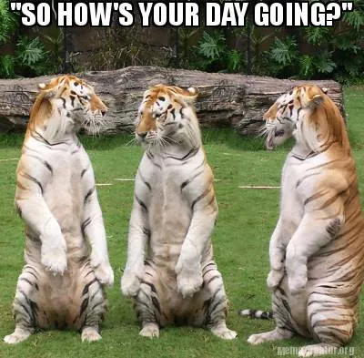 "SO HOW'S YOUR DAY GOING?"