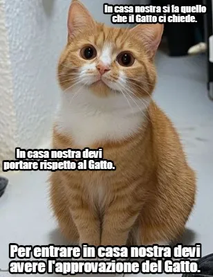 Funny In casa nostra si fa quello che il Gatto ci chiede. In casa nostra devi portare