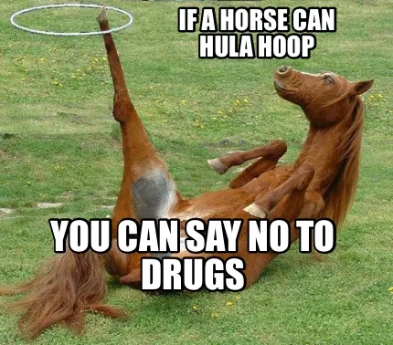 Funny If a horse can hula hoop You can say no to drugs