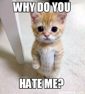 Funny why do you hate me?