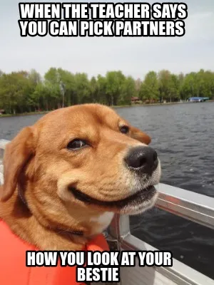 Funny When the teacher says you can pick partners how you look at your bestie