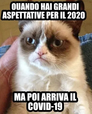 Quando Hai Grandi Aspettative Per Il 2020 Ma Poi Arriva Il Covid