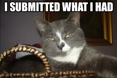 I submitted what I had