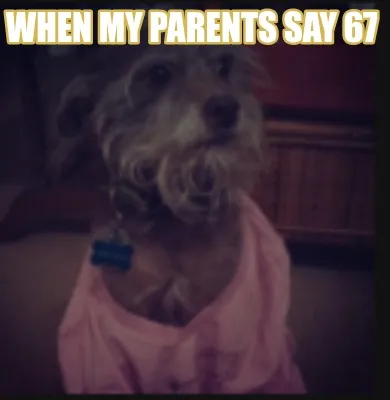 Funny when my parents say 67