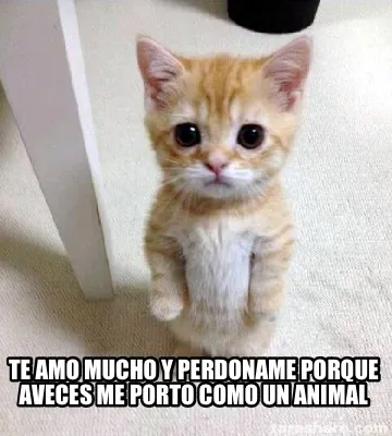 TE AMO MUCHO Y PERDONAME PORQUE AVECES ME PORTO COMO UN ANIMAL