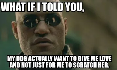 Funny What if I told you, My dog actually want to give me love and not just for me to