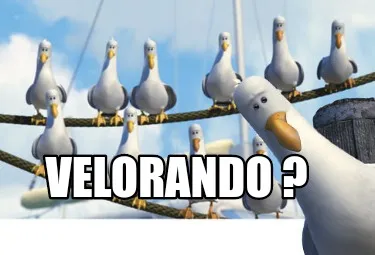 Funny VELORANDO ?
