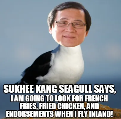 Sukhee Kang seagull says, I am going to look for french fries, fried chicken, an