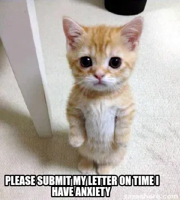 Funny Please submit my letter on time I have anxiety