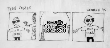 Sexually transmitted nematodes