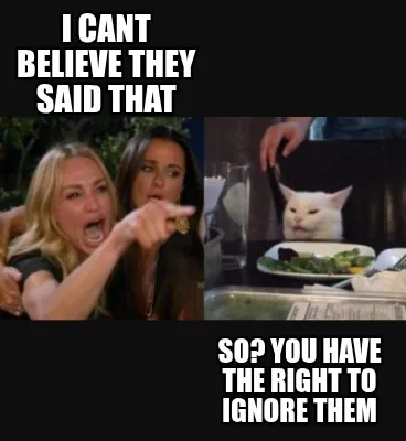 I cant believe they said that so? you have the right to ignore them