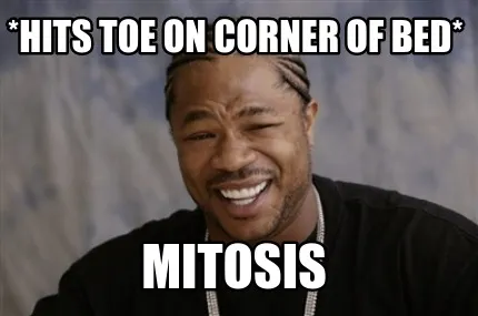 *Hits toe on corner of bed* MITOSIS