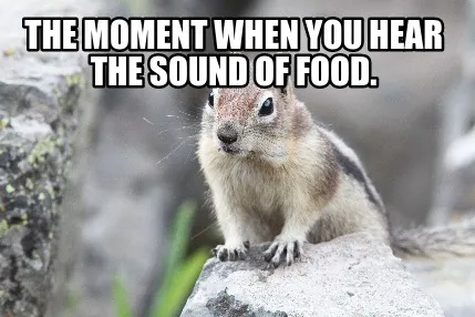 Funny The moment when you hear the sound of food.