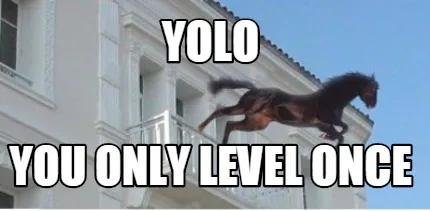 Yolo you only level once